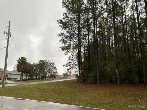 11 S Kensington Ave, Lecanto, FL 34461 photo 3