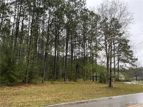 11 S Kensington Ave, Lecanto, FL 34461 photo 2