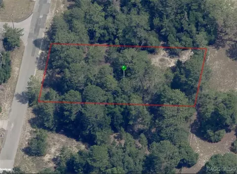 1475 S Alto Verde Ter, Inverness, FL 34452