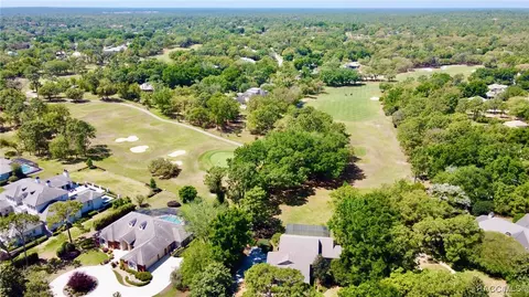View/Area - 3944 N Pine Valley Loop, Lecanto, FL 34461 photo 3 of 5