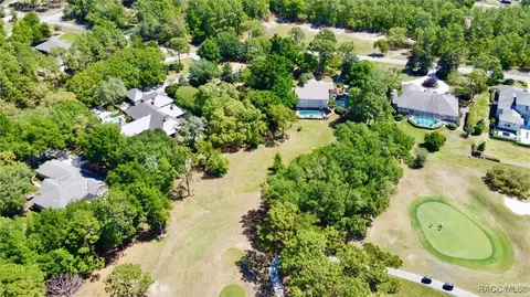 View/Area - 3944 N Pine Valley Loop, Lecanto, FL 34461 photo 5 of 5