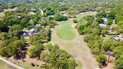 View/Area - 3944 N Pine Valley Loop, Lecanto, FL 34461 photo 1 of 5