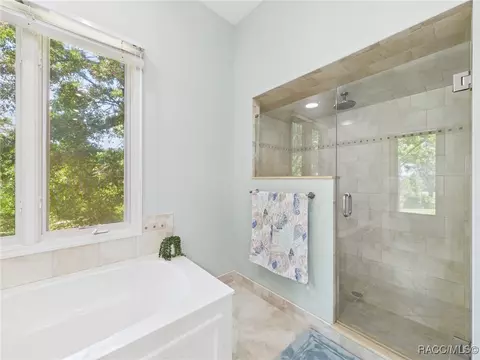 Bath - 3944 N Pine Valley Loop, Lecanto, FL 34461 photo 4 of 9