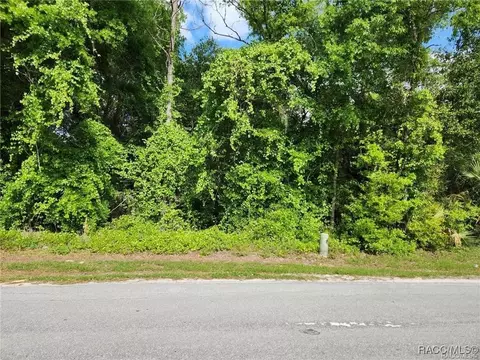 477 S Rooks Ave, Inverness, FL 34463