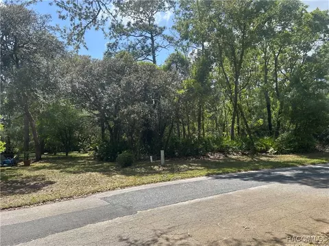 12 Tupelo Ct, Homosassa, FL 34446