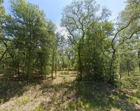 1831 NW Buena Vista Rd, Dunnellon, FL 34431