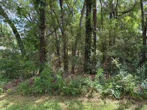 4229 S Canton Ter, Inverness, FL 34452