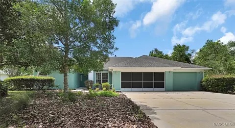 17 Birchtree St, Homosassa, FL 34446