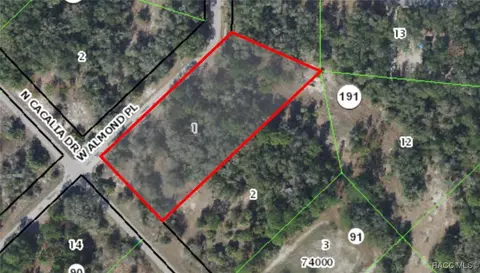 9599 N Cacalia Dr, Crystal River, FL 34428
