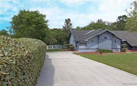 1095 E Triple Crown Loop, Hernando, FL 34442 photo 3