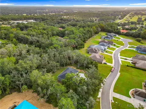 View/Area - 2253 N Heritage Oaks Path, Hernando, FL 34442 photo 3 of 12