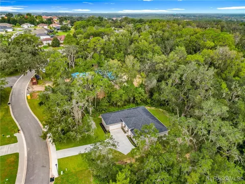 View/Area - 2253 N Heritage Oaks Path, Hernando, FL 34442 photo 5 of 12