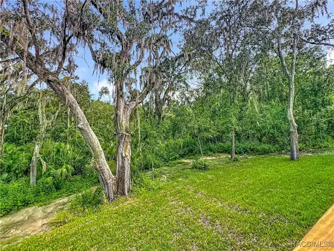 Exterior - 2253 N Heritage Oaks Path, Hernando, FL 34442 photo 12 of 17