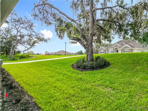 Exterior - 2253 N Heritage Oaks Path, Hernando, FL 34442 photo 15 of 17