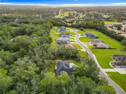 View/Area - 2253 N Heritage Oaks Path, Hernando, FL 34442 photo 10 of 12