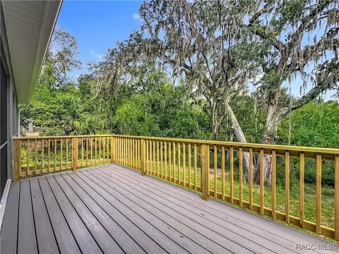 Exterior - 2253 N Heritage Oaks Path, Hernando, FL 34442 photo 11 of 17