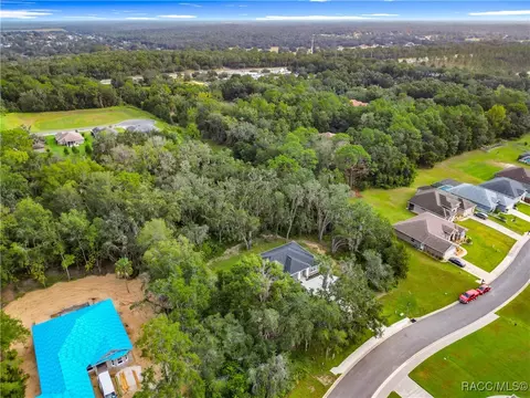 View/Area - 2253 N Heritage Oaks Path, Hernando, FL 34442 photo 4 of 12