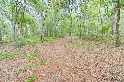1871 E Ray St, Hernando, FL 34442 photo 26