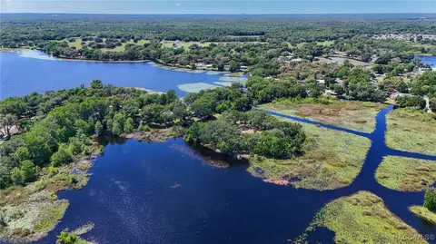 3818 N Webb Pt, Hernando, FL 34442 photo 60