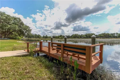 4330 E Shorewood Dr, Hernando, FL 34442 photo 11
