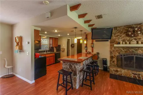 4330 E Shorewood Dr, Hernando, FL 34442 photo 31