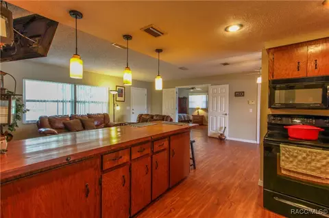 4330 E Shorewood Dr, Hernando, FL 34442 photo 36