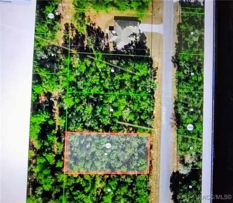 9818 N Pewter Ave, Dunnellon, FL 34434
