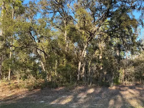 8047 N Vince Dr, Citrus Springs, FL 34434
