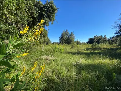 7373 E Savannah Ct, Floral City, FL 34436