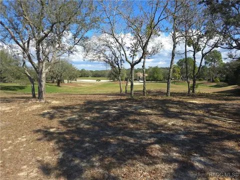 2608 N Carnoustie Loop, Lecanto, FL 34461 photo 10