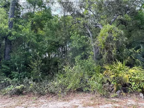 6640 W Yates Pl, Crystal River, FL 34429