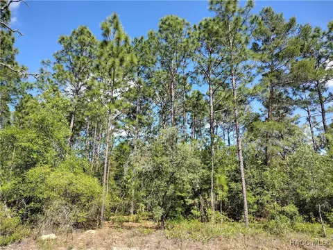 7729 N Maltese Dr, Citrus Springs, FL 34433