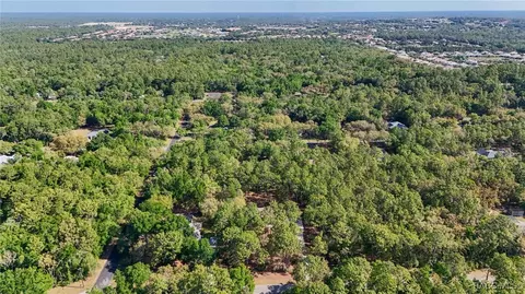 1461 W Redding St, Hernando, FL 34442 photo 34