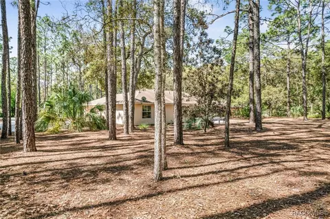 1461 W Redding St, Hernando, FL 34442 photo 27