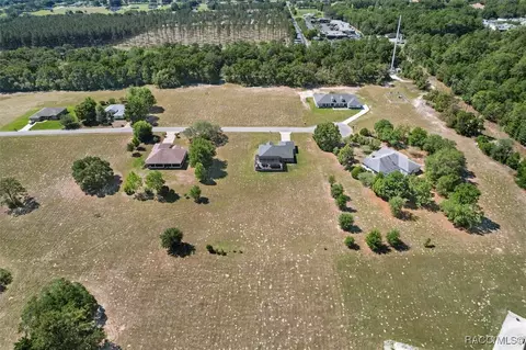 View/Area - 91 E Dusty Ct, Hernando, FL 34442 photo 3 of 10