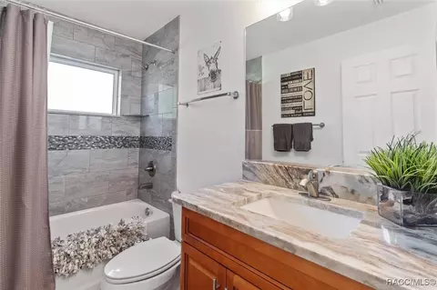 Bath - 91 E Dusty Ct, Hernando, FL 34442 photo 6 of 7