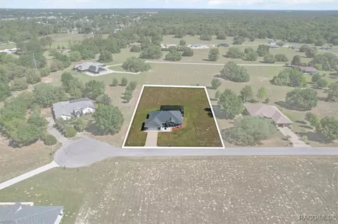 View/Area - 91 E Dusty Ct, Hernando, FL 34442 photo 10 of 10