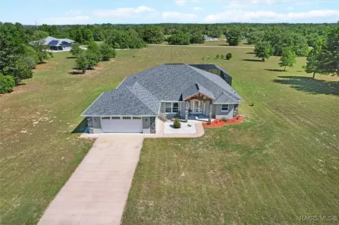 View/Area - 91 E Dusty Ct, Hernando, FL 34442 photo 5 of 10