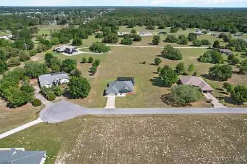 View/Area - 91 E Dusty Ct, Hernando, FL 34442 photo 2 of 10