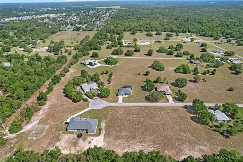 View/Area - 91 E Dusty Ct, Hernando, FL 34442 photo 4 of 10