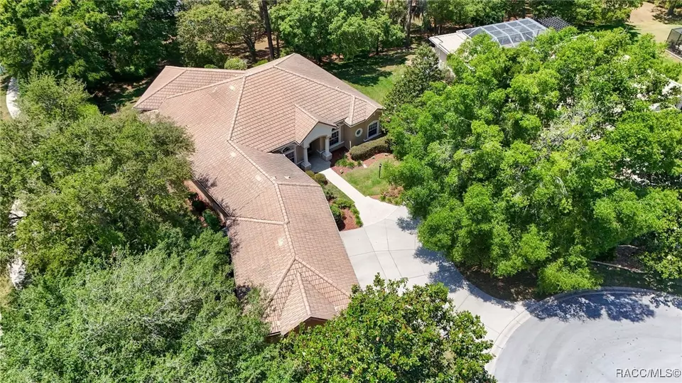 View/Area - 1993 N Eagle Chase Dr, Hernando, FL 34442 photo 5 of 6