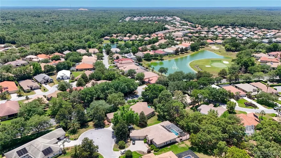 View/Area - 1993 N Eagle Chase Dr, Hernando, FL 34442 photo 1 of 6