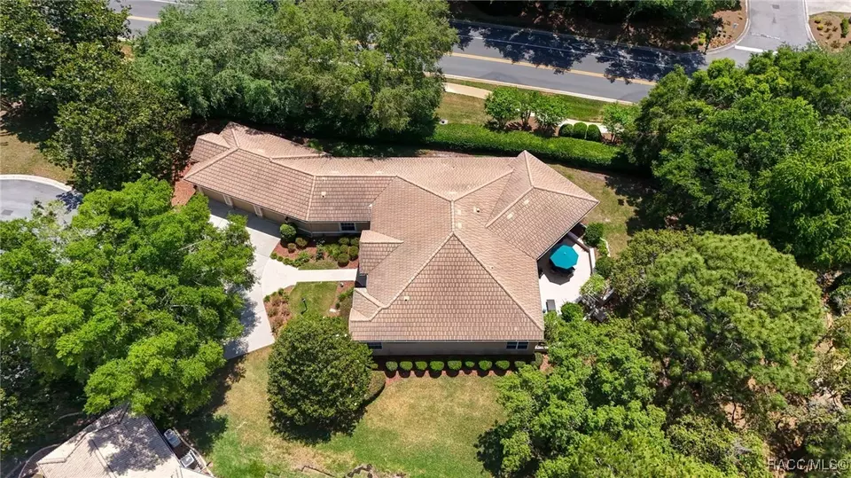 View/Area - 1993 N Eagle Chase Dr, Hernando, FL 34442 photo 3 of 6