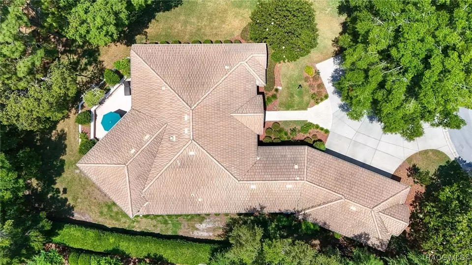 View/Area - 1993 N Eagle Chase Dr, Hernando, FL 34442 photo 2 of 6