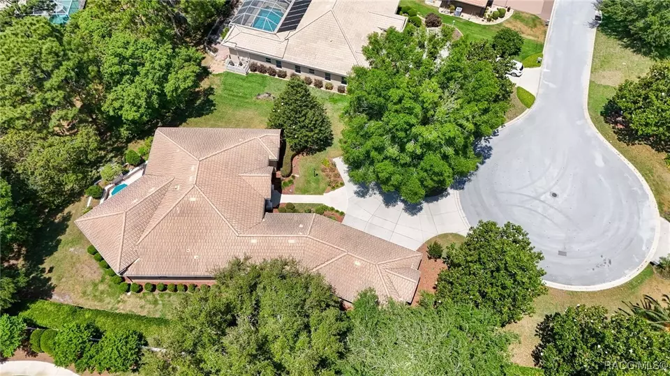 View/Area - 1993 N Eagle Chase Dr, Hernando, FL 34442 photo 4 of 6