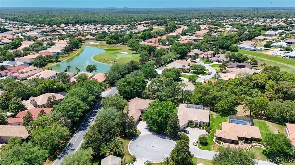View/Area - 1993 N Eagle Chase Dr, Hernando, FL 34442 photo 6 of 6