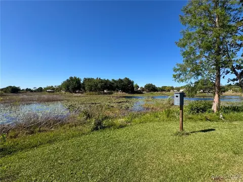 View/Area - 183 Hague Ct, Spring Hill, FL 34606 photo 1 of 9