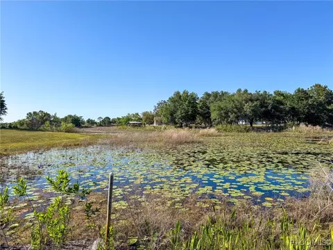 View/Area - 183 Hague Ct, Spring Hill, FL 34606 photo 4 of 9