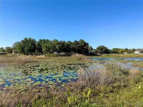 View/Area - 183 Hague Ct, Spring Hill, FL 34606 photo 3 of 9