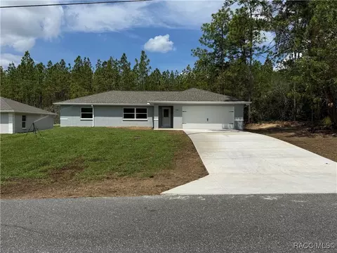 9046 N Paradisea Dr, Citrus Springs, FL 34433